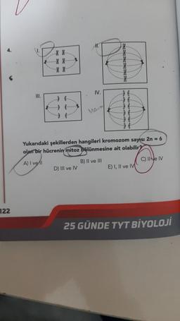 4.
122
I.
-S S..
·X 8₁.
83
IV.
D) III ve IV
Mant
****
Yukarıdaki şekillerden hangileri kromozom sayısı 2n = 6
olan bir hücrenin mitoz bölünmesine ait olabilir?
A) I vel
B) II ve III
..d f.
--df₁
..df.
E) I, II ve IV
C) II ve IV
25 GÜNDE TYT BİYOLOJİ