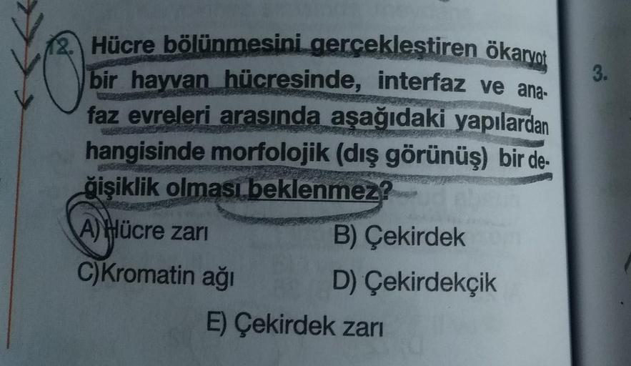 12. Hücre bölünmesini gerçekleştiren ökarvot
bir hayvan hücresinde, interfaz ve ana-
faz evreleri arasında aşağıdaki yapılardan
hangisinde morfolojik (dış görünüş) bir de-
ğişiklik olması beklenmez?
A)Hücre zarı
C) Kromatin ağı
B) Çekirdek
D) Çekirdekçik
E