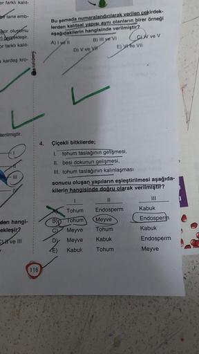 er farklı kalıt-
bir tane emb-
spor oluşumu
gerçekleşir.
or farklı kalıt-
a kardeş kro-
terilmiştir.
dan hangi-
ekleşir?
Cve III
Kafa Dengi
116
4.
Bu şemada numaralandırılarak verilen cekirdek-
lerden kalıtsal yapısı aynı olanların birer örneği
aşağıdakile