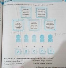 FEN BİLİMLERİ
3
Enerji kaynaklan ile ilgili aşağıdaki gibi oluşturulan diyagramda B ve D'nin türü verilmiştir.
Bitkive
hayvan
atıklarından
yararlanılarak
elde edilen
enerjidir.
Biyokith
#
Dünya'daki
tüm enerjilerin
kaynağı olan
Güneş enerji-
sidir.
*
A B
A) Jeotermal, Rüzgar, Dalga
C) Dalga, Biyokütle, Jeotermal
Hareket
enerjisinden
elektrik ener-
jisi elde edilen
enerji türüdür.
C
Suyun hareke-
tinden yararlanı-
larak enerji elde
edilen hidrole-
ektrik enerjidir.
D
Yer altında
Isinan suyun
buhar şeklinde
yeryüzüne çık-
masıyla enerji
elde edilir.
E
369
Jeoteme
Buna göre A, C ve E'nin enerji türü sırasıyla hangi seçenekte doğru verilmiştir?
B) Biyokütle, Rüzgar, Jeotermal
D) Rüzgar, Biyokütle, Jeotermal
11. Ülkemizde fosil yakıt kaynaklarının sınırlı olm