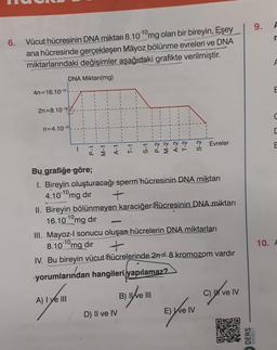 6.
Vücut hücresinin DNA miktarı 8.10-10mg olan bir bireyin, Eşey
ana hücresinde gerçekleşen Mayoz bölünme evreleri ve DNA
miktarlarındaki değişimler aşağıdaki grafikte verilmiştir.
DNA Miktarı(mg)
4n 16.10-10
2n=8.10-10
n=4.10-10
I
i
1
I
A) I ye III
I
1
1
i
I
LIIKE
I
P-2
M-2
A-2
T-2
Bu grafiğe göre;
1. Bireyin oluşturacağı sperm hücresinin DNA miktarı
4.10 mg dir
+
D) II ve IV
I
II. Bireyin bölünmeyen karaciğer hücresinin DNA miktarı
16.10-¹0mg dir
III. Mayoz-l sonucu oluşan hücrelerin DNA miktarları
8.10-10mg dir
IV. Bu bireyin vücut hücrelerinde 2n 8 kromozom vardır
yorumlarından hangileri yapılamaz?
B) II ve III
Evreler
E) We IV
C) ve IV
9.
DERS
MARKET
F
E
C
C
E
10. A