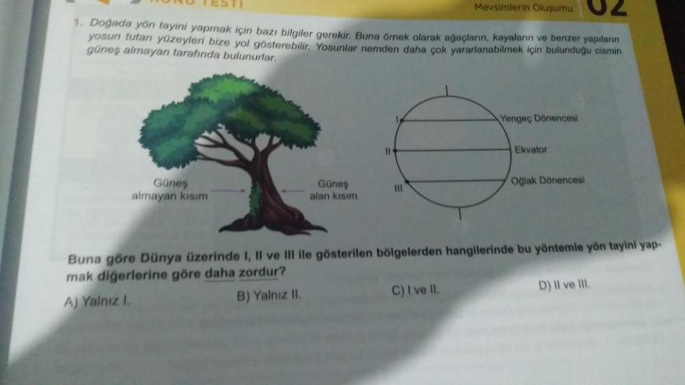 Mevsimlerin Olusumu 2
1. Doğada yön tayini yapmak için bazı bilgiler gerekir. Buna örnek olarak ağaçların, kayaların ve benzer yapıların
yosun tutan yüzeyleri bize yol gösterebilir. Yosunlar nemden daha çok yararlanabilmek için bulunduğu cismin
güneş almay