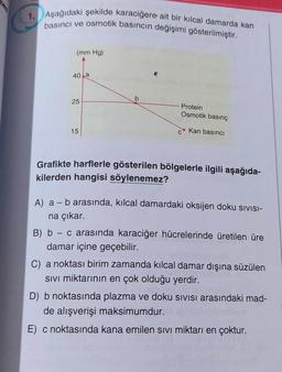 1. Aşağıdaki şekilde karaciğere ait bir kılcal damarda kan
basıncı ve osmotik basıncın değişimi gösterilmiştir.
(mm Hg)
40 a
25
15
b
Protein
Osmotik basınç
Kan basıncı
Grafikte harflerle gösterilen bölgelerle ilgili aşağıda-
kilerden hangisi söylenemez?
A) a - b arasında, kılcal damardaki oksijen doku sivisi-
na çıkar.
B) b - c arasında karaciğer hücrelerinde üretilen üre
damar içine geçebilir.
C) a noktası birim zamanda kılcal damar dışına süzülen
SIVI miktarının en çok olduğu yerdir.
D) b noktasında plazma ve doku sıvısı arasındaki mad-
de alışverişi maksimumdur.
E) c noktasında kana emilen sıvı miktarı en çoktur.