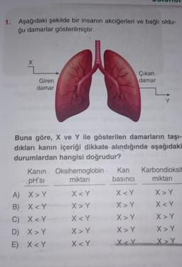 Aşağıdaki şekilde bir insanın akciğerleri ve bağlı oldu-
ğu damarlar gösterilmiştir.
X
Giren
damar
***********
A)
X>Y
B)
X<Y
C) X<Y
D) X > Y
E) X<Y
Buna göre, X ve Y ile gösterilen damarların taşı-
dıkları kanın içeriği dikkate alındığında aşağıdaki
durumlardan hangisi doğrudur?
X<Y
X > Y
X<Y
X > Y
X<Y
Çıkan
damar
Kanin Oksihemoglobin. Kan Karbondioksit
pH'si
miktarı
basıncı
miktarı
Y
X<Y
X > Y
X > Y
X > Y
X<Y
X>Y
X<Y
X>Y
X > Y
X>Y