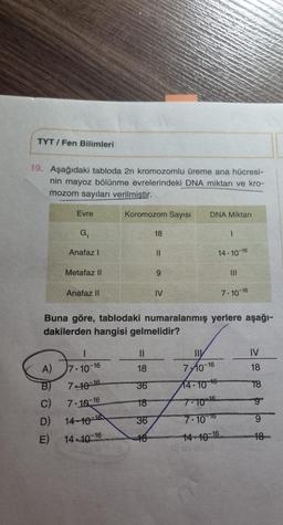 TYT/Fen Bilimleri
19. Aşağıdaki tabloda 2n kromozomlu üreme ana hücresi-
nin mayoz bölünme evrelerindeki DNA miktarı ve kro-
mozom sayıları verilmiştir.
A)
PODE
B)
C)
D)
Evre
E)
G₁
Anafaz I
Metafaz II
Anafaz II
Koromozom Sayısı
7-10-16
7-10-16
7-10-16
14-10-16
14-10-16
18
Buna göre, tablodaki numaralanmış yerlere aşağı-
dakilerden hangisi gelmelidir?
||
18
36
18
36
18
||
9
IV
DNA Miktarı
1
14-10-16
7-10-16
14-10 16-
7:10-1
-16
7-10-16
14-10-16
7.10-16
IV
18
18
9
18-