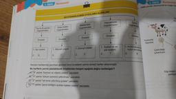 2.
2. ÜNİTE Biyoteknoloji
Tıp ve Eczacılık
Uygulamaları
Örnektir
↓
1. Aşı üretimi
X
BİYOTEKNOLOJİNİN UYGULAMA ALANLARI
Gıda Üretim
Uygulamaları
Örnektir
1. Meyveli yoğurt
Bitkilerdeki
Uygulamalar
Örnektir
1. Dirençli bitkiler
Z
Hayvancılık
Uygulamaları
2.
Örnektir
1. Kaliteli et ve
süt üretimi
T
Kavram haritasında yazılması gereken ikinci örneklerin yerine temsili harfler eklenmiştir.
Bu harflerin yerine yazılabilecek örneklerden hangisi aşağıda doğru verilmiştir?
A) "X" yerine "hormon ve vitamin üretimi" yazılabilir.
B) "Y" yerine "tohum veriminin arttırılması" yazılabilir.
"Z" yerine "raf ömrü arttırılmış gıdalar" yazılabilir.
D) "T" yerine "çevre kirliliğini azaltan bakteri üretimi" yazılabilir.
Çevre
Uygulamalan
Örnektir
2. ÜNİTE Biyoteknoloji
1998 yılında Japonya'da bir ineğin hüc
1. Arıtma tesislerinde
suyun temizlenme
R
Yumurta
hücresi
Çekirdeği
çıkarılıyor.
VE
hü
Dişi ineğin
yerleşti