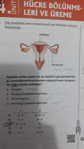 HÜCRE BÖLÜNME-
LERİ VE ÜREME
Dişi bireylerde üreme sistemine ait bazı bölümler numara-
landırılmıştır.
A)
B)
CR
D)
E)
II(Rahim)
Aşağıda verilen olaylar ile bu olayların gerçekleştirildi-
ği, numaralandırılmış kısımların eşleştirilmesi hangisin-
de doğru ol