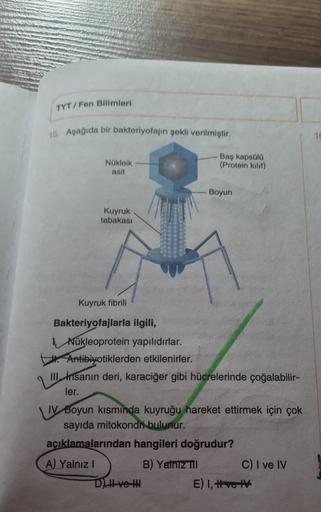 TYT/Fen Bilimleri
15. Aşağıda bir bakteriyofajin şekli verilmiştir.
Nükleik
asit
Kuyruk
tabakası
Kuyruk fibrili
Bakteriyofajlarla ilgili,
Baş kapsülü
(Protein kılıf)
Boyun
Nükleoprotein yapılıdırlar.
Antibiyotiklerden etkilenirler.
III insanın deri, karaci