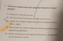 11. İnsanların akciğerleriyle ilgili aşağıdaki ifadelerden hangisi
yanlıştır?
A) Diyaframın üzerinde yer alır
B) Dış kısmında çift katlı pleura (akciğer zarı) bulunur.
Dıştaki zar, akciğerin göğüs boşluğuna ve diyaframa tutun-
masını sağlar.
D) Yapısındaki düz kaslar sayesinde kasılıp gevşeyerek gaz
alışverişi gerçekleştirir.
E) Etrafını çevreleyen zarlar arasında bulunan sivi, akciğerlerin
korunmasında rol oynar.