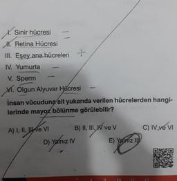 X. Sinir hücresi
H. Retina Hücresi
III. Eşey ana hücreleri +
IV. Yumurta
V. Sperm
XI. Olgun Alyuvar Hücresi
İnsan vücuduna ait yukarıda verilen hücrelerden hangi-
lerinde mayoz bölünme görülebilir?
A) I, II, II ve VI
D) Yalnız IV
B) II, III, IV ve V
E) Yalnız II
10
C) IV ve VI