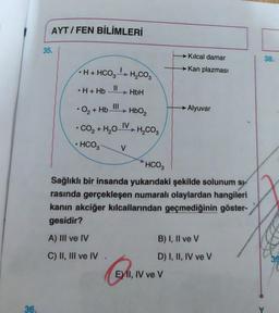 36.
AYT/FEN BİLİMLERİ
35.
H + HCO,¹
||
• H+Hb
H₂CO3
HbH
O₂ + Hb-
HbO₂
• CO₂ + H₂O_IV → H₂CO3
HCO3 V
Kılcal damar
→→Kan plazması
→Alyuvar
HCO₂
Sağlıklı bir insanda yukarıdaki şekilde solunum si
rasında gerçekleşen numaralı olaylardan hangileri
kanın akciğer kılcallarından geçmediğinin göster-
gesidir?
A) III ve IV
C) II, III ve IV
E) II, IV ve V
B) I, II ve V
D) I, II, IV ve V
38.
39