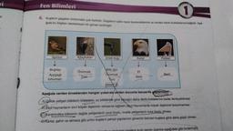 ri
er
1
=
6. Kuşların gagalan birbirinden çok farklıdır. Gagaların şekli neyle beslendiklerine ve nerden besin bulduklarına bağlıdır. Aşa-
ğıda bu bilgileri destekleyen bir görsel verilmiştir.
Fen Bilimleri
Ispinoz
Buğday
Ayçiçeği
tohumları
Ağaçkakan
Örümcek
Turtal
Sinek kuşu
↓
Bitki özü
Orümcek
Nrtil
Şekeri şu
Kartal
Et
Balık
Pelikan
Balık
Aşağıda verilen örneklerden hangisi yukarıda verilen durumla benzerlik göstermez?
A) Çölde yetişen bitkilerin köklerinin, su bitkilerine göre toprağın daha derin noktalarına kadar ilerleyebilmesi
B) Etçil hayvanların sivri köpek dişlerinin olmasına rağmen ocul hayvanlarda köpek dişlerinin bulunmaması
Karahindiba bitkisinin dağda yetişenlerin uzun boylu, ovada yetişenlerin kısa boylu olması
D) Kartal, şahin ve atmaca gibi yırtıcı kuşların pençe yapılarının güvercin benzeri kuşlara göre daha güçlü olması.
re kum zemin üzerine aşağıdaki gibi bırakmıştır.