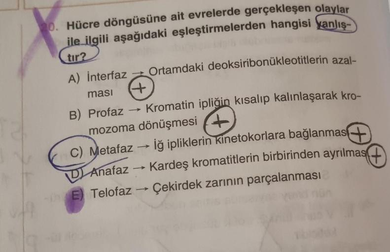 20. Hücre döngüsüne ait evrelerde gerçekleşen olaylar
ile ilgili aşağıdaki eşleştirmelerden hangisi yanlış-
tır?
A) interfaz
ması
B) Profaz
+
Ortamdaki deoksiribonukleotitlerin azal-
->>>
Kromatin ipliğin kısalıp kalınlaşarak kro-
mozoma dönüşmesi
DAnafaz
