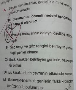 ve Çap
6. Sarışın olan insanlar, genellikle mavi veya ye
Bu durumun en önemli nedeni aşağıdakiler
gözlü olmaktadır.
den hangisi olabilir?
Copy
masi
Anne ve babalarının da aynı özelliğe sahip
B) Saç rengi ve göz rengini belirleyen genler
bağlı genler olması
C) Bu iki karakteri belirleyen genlerin, baskın gen
ler olması
D) Bu karakterlerin çevrenin etkisinde kalmas
E) Bu karakterlere ait genlerin farklı kromozom
lar üzerinde bulunması
sa