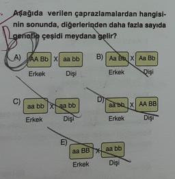 Aşağıda verilen çaprazlamalardan hangisi-
nin sonunda, diğerlerinden daha fazla sayıda
genotip çeşidi meydana gelir?
07
A) AA Bb X aa bb B) Aa Bb X Aa Bb
Dişi
Dişi
C)
Erkek
aa bb
Erkek
aa bb
Dişi
E)
D)
Erkek
aa bb X AA BB
Erkek
Dişi
aa BB X aa bb
Erkek
Dişi