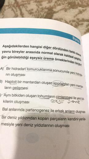 Biyoloj
Aşağıdakilerden hangisi diğer dördünden farklı olarak
yavru bireyler arasında normal olarak kalıtsal çeşitlili
ğin görülebildiği eşeysiz üreme örneklerinden biridir?
A) Bir hidradan tomurcuklanma sonucunda yeni hidrala
rın oluşması
3) Haploit bir m