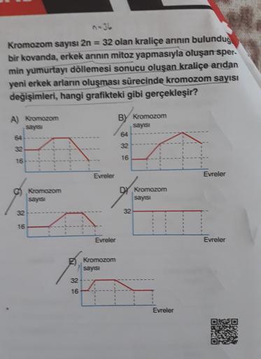 n-36
Kromozom sayısı 2n = 32 olan kraliçe arının bulunduğ
bir kovanda, erkek arının mitoz yapmasıyla oluşan sper
min yumurtayı döllemesi sonucu oluşan kraliçe arıdan
yeni erkek arların oluşması sürecinde kromozom sayısı
değişimleri, hangi grafikteki gibi g