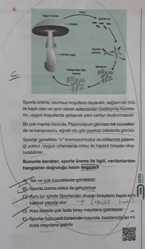 6.
Ul
Olgun mantar
Gövde (sap)
mitoz
Gelişmekte olan
mantar
Sporlar (n)
Sporlar
çimlenir.
Miselyum
Sporla üreme, olumsuz koşullara dayanıklı, sağlam bir örtü
ile kaplı olan ve spor olarak adlandırılan özelleşmiş hücrele-
rin, uygun koşullarda gelişerek yen