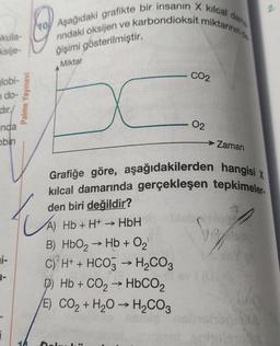 okula-
ksije-
lobi-
n do-
dir./
nda
obin
i-
i
Palme Yayınevi
Aşağıdaki grafikte bir insanın X kılcal dama
e karbondioksit miktarının de
rindaki oksijen ve
ğişimi gösterilmiştir.
Miktar
B) HbO2 → Hb+0₂'
C) H+ + HCO3 → H₂CO3
D) Hb + CO, → HbCO,
E) CO₂ + H₂O → H₂CO3
->>>
Grafiğe göre, aşağıdakilerden hangisi x
kılcal damarında gerçekleşen tepkimeler
den biri değildir?
A) Hb + H+ → HbH
Dek
CO2
ww
02
Zaman
