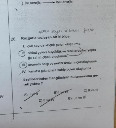 IV
20.
E) Isı enerjisi
→ Işık enerjisi
polen Sayısı oldukoa fazle
Rüzgarla tozlaşan bir bitkide;
1. çok sayıda küçük polen oluşturma,
dikkat çekici büyüklük ve renklerde taç yapra-
ğa sahip çiçek oluşturma.
III.) aromatik salgı ve nektar üreten çiçek oluşt