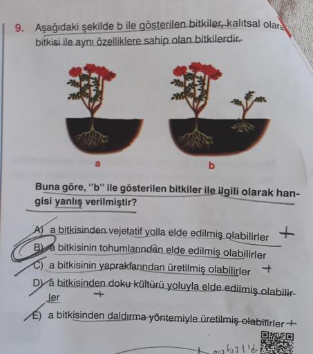 9. Aşağıdaki şekilde b ile gösterilen bitkiler, kalıtsal olar
bitkisi ile aynı özelliklere sahip olan bitkilerdir.
T
a
b
Buna göre, "b" ile gösterilen bitkiler ile ilgili olarak han-
gisi yanlış verilmiştir?
A) a bitkisinden vejetatif yolla elde edilmiş ol