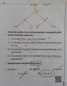 6.
VO
2x 2n 1
Yukarıda verilen hücre bölünmesinde, numaralarla gös-
terilen hücreler hakkında;
A) Yalnız I
moyo z
I. I numaralı hücre, eşey ana hücresidir
II. Il numaralı hücrenin DNA miktarı 4x, kromozom sayısı
2n olur
+
III. III numaralı hücrede homolog kromozomlar yan yana
bulunamaz
D) III ve IV
Ive Iv
IV. IV numaralı hücre ile V numarat hücre aynı kalıtsal ya-
pida olamaz.
ifadelerinden hangileri doğrudur?
ON
B) Yalnız II
E) I, II, III ve IV
C) Ilve III
DERS
MARKET