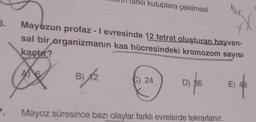 5.
klı kutuplara çekilmesi
XX
Mayozun profaz - I evresinde 12 tetrat oluşturan hayvan-
sal bir organizmanın kas hücresindeki kromozom sayısı
kaçtır?
B) 12
C) 24
D) 36
7. Mayoz süresince bazı olaylar farklı evrelerde tekrarlanır.
E) 48