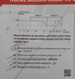 7.
2n
Kromozom
sayısı
Mayozl
Mayoz
F
||||||
IV
Mayoz bölünme ile ilgi olarak, yukarıdaki grafik dikka-
te alındığında; aşağıda verilen eşleştirmelerden hangi-
si doğru olur?
V
W VIVIX Ender
A) Hücresel döngünün kontrol noktalarının bulunduğu ev-
reler: I-III-IV-VI
Kromozom sayısının iki katına çıktığı evre
Homolog kromozom ayrılması
DNA miktarının iki atına çıktığ evre: Vill
Tetratların oluştárulduğu evre: II