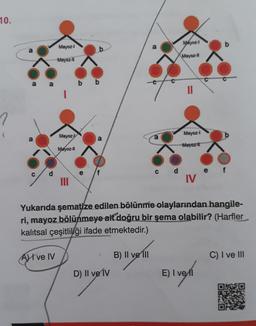 10.
a a
a
Mayoz-l
Mayoz-Il
A ve IV
Mayoz-
Mayoz-II
III
b
b b
f
D) Il ve IV
a
B) II ve Ill
cd
Mayoz-1
Mayoz-11
11
Mayoz-l
Mayoz-ll
Yukarıda şematize edilen bölünme olaylarından hangile-
ri, mayoz bölünmeye ait doğru bir şema olabilir? (Harfler
kalıtsal çeşitliliği ifade etmektedir.)
IV
e f
E) I vel
C) I ve III
20