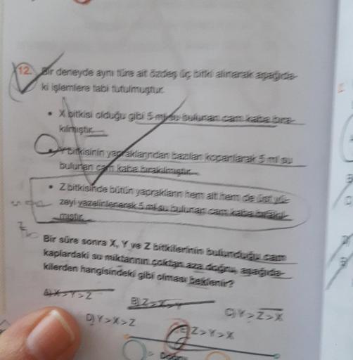 B
12. Bir deneyde aynı türe ait özdeş üç bitki alinarak aşağıda
ki işlemlere tabi tutulmuştur.
NA
• X bitkisi olduğu gibi 5 ms bulunan cam kata bra
kiirmiştir
Coromisinin
bitkisinin yapraklarından bazılar koparlarak 5 ms.
bulunan can kaba bırakalimistic
•