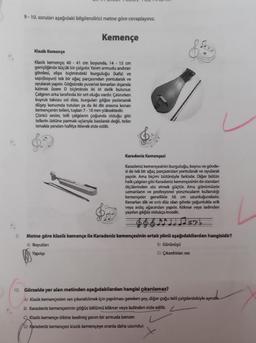 9
9-10. soruları aşağıdaki bilgilendirici metne göre cevaplayınız.
Kemençe
Klasik Kemençe
Klasik kemençe; 40-41 cm boyunda, 14 - 15 cm
genişliğinde küçük bir çalgıdır. Yarım armudu andıran
gövdesi, elips biçimindeki burguluğu (kafa) ve
sapi(boyun) tek bir ağaç parçasından yontularak ve
oyularak yapılır. Göğsünde yuvarlak kenarları dışarıda
kalmak üzere D biçiminde iki iri delik bulunur.
Çalgının arka tarafında bir sırt oluğu vardır. Çalınırken
kuyruk takozu sol dize, burgulanı göğse yaslanarak
düşey konumda tutulan ya da iki diz arasına konan
kemençenin telleri, tuştan 7-10 mm yüksektedir.
Çünkü sesler, telli çalgıların çoğunda olduğu gibi
tellerin üstüne parmak uçlarıyla basılarak değil, teller
tırnakla yandan hafifçe itilerek elde edilir.
$9
Karadeniz Kemençesi
Karadeniz kemençesinin burguluğu, boynu ve gövde-
si de tek bir ağaç parçasından yontularak ve oyularak
yapılır. Ama biçimi bütünüyle farklıdır. Diğer bütün
halk çalgılan gibi Karadeniz kemençesinin de standart
ölçülerinden söz etmek güçtür. Ama günümüzde
uzmanların ve profesyonel yorumcuların kullandığı
kemençeler genellikle 56 cm uzunluğundadır.
Kenarları dik ve sırtı düz olan gövde çoğunlukla erik
veya ardıç ağacından yapılır. Köknar veya ladinden
yapılan göğüs oldukça incedir.
11xb
Metne göre klasik kemençe ile Karadeniz kemençesinin ortak yönü aşağıdakilerden hangisidir?
A) Boyutları
B) Görünüşü
Yapılışı
D) Çıkardıklan ses
10. Görselde yer alan metinden aşağıdakilerden hangisi çıkarılamaz?
Aj Klasik kemençeden ses çıkarabilmek için yapılması gereken şey, diğer çoğu telli çalgılardakiyle aynıdık.
B) Karadeniz kemençesinin göğüs bölümü köknar veya ladinden elde edilir.
Klasik kemençe dikine kesilmiş yarım bir armuda benzer.
D) Karadeniz kemençesi klasik kemençeye oranla daha uzundur.