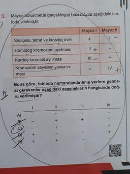 5. Mayoz bölünmede gerçekleşen bazı olaylar aşağıdaki tab-
loda verilmiştir.
Sinapsis, tetrat ve krosing over
Homolog kromozom ayrılması
Kardeş kromatit ayrılması
Kromozom sayısının yarıya in-
mesi
A)
464
1
+ +
||
Mayoz I Mayoz II
1
+ + + +
Buna göre, tabloda numaralandırılmış yerlere gelme-
si gerekenler aşağıdaki seçeneklerin hangisinde doğ-
ru verilmiştir?
+
| + |II
11 +
+
T
+
IV +
2 + +
IV
OKO