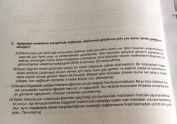 5. Aşağıdaki metinlerin hangisinde kullanılan düşünceyi geliştirme yolu yay ayraç içinde yanlış ve-
rilmiştir?
A) Bilimin pek çok farklı dalı ve bunlarla ilgilenen pek çok bilim insanı var. Bilim insanları araştırmalarını
yapmak için farklı araç ve yöntemlerden yararlanırlar. Gök bilimciler gökyüzü gözlemi yaparken te-
leskop, biyologlar hücre zarını incelerken mikroskop, sinir bilimciler beynin hareketlerini ölçerken ve
görüntülerken elektroensefalografi (EEG) kullanırlar. (Örneklendirme)
B) İnsan beynini enerji açısından pahalı bir süper bilgisayar olarak düşünebiliriz. Bir bilgisayarın kapa-
sitesi arttıkça çalışmaya devam etmek için daha fazla güç gerekir ve elektrik besleme kablolarının
daha büyük olması gerekir. Beyin de böyledir. Bilişsel işlev ne kadar yüksek olursa kan akışı o kadar
yüksek, kan sağlayan damarlar o kadar büyük olur. (Benzetme)
C) lliman bölgelerde yetişen kestane ağacının on altı değişik türü bulunmaktadır. Boyu otuz metreye ka-
dar uzayabilen kestane ağaçları beş yüz yıl yaşayabilir. Bu nedenle kestaneler Anadolu ormanlarının
en görkemli ağaçlarıdır. (Sayısal verilerden yararlanma)
D) Aşılar, laboratuvar ortamında işlemden geçirildiği için içerisindeki maddelerin hastalık yapma tehlike-
si yoktur. Aşı ile kazandırılmış bağışıklık sisteminde hastalığa neden olan maddeler vücuda tanıtılmış
olur. Aynı maddelerle tekrar karşılaşıldığında hastalığın başlamasına fırsat kalmadan vücut onu yok
eder. (Tanımlama)
C)