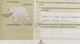 1. Kalın yağ tabakası
3. Küçük kulak
ve burun
4. Geniş ayak tabanları
LI
2. Beyaz post
5. Kisa bacak
b) Kutup ayısının sahip olduğu özellikler ile ilgili soruları cevap-
layınız.
1. Kutup ayısındaki bu özellikler canlının yavrusuna aktarılım
mi? Neden?
aktarılır çünk creme hiendand
gonetk olarak vardır..
C
2. Kutup ayısı daha sıcak bir bölgeye götürülürse doğacall
yavrusu bu özelliklerden hangilerini taşır? Neden?