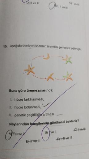 D) II ve III
A
A Yalnız W
01.11
15. Aşağıda denizyıldızlarının üremesi şematize edilmiştir.
*
***
Buna göre üreme sırasında;
1. hücre farklılaşması,
II. hücre bölünmesi,
III. genetik çeşitliliğin artması
olaylarından hangilerinin görülmesi beklenir?
D) | v