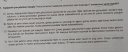 7. Aşağıdaki parçalardan hangisi "Hava tamamen kapalıysa yönümüzü nasıl bulacağız?" sorusunun yanıtı olabilir?
A) Güneş, doğuşundan batışına dek gökyüzünün güneyinde bir yay çizer. Öğle vaktinde tam güneydedir. Güneş'in doğ-
rultusunu, o anda güneybatıyı gösteren bir pusula olarak kullanabilirsiniz ya da yere bir çubuk dikerseniz çubuğun
gölgesi tam zıt yöne yani kuzeydoğuya düşer.
B) Nemli ve serin ortamı seven yosunlar, güneş ışınlarının yansıdığı bir ağacın güney tarafını değil kuzey tarafını tercih
eder. Bu nedenle yosunları, kuzeyi gösteren pusulalar olarak kullanabilirsiniz.
C) Geceleyin yön bulmak çok kolaydır. Neden mi? Çünkü geceleri gökyüzünde kuzeyi gösteren Kutup Yıldızı görünür.
Onu bulmak için Büyükayı takımyıldızını arayın. Bir kepçeye benzeyen biçimiyle bu takımyıldızını bulmanız hiç zor
olmayacaktır.
D) Ay'ın hilal şekline sahip olduğu zamanlarda hilalin iki ucuna temas eden hayalî bir çizgi çekin. Çizgiyi çektiğinizde
oluşan görüntü "b" harfini andırıyorsa hilalin uçları doğuyu, "d" harfini andırıyorsa batıyı gösteriyordur.