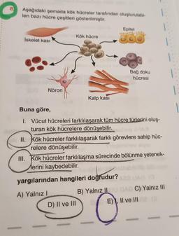 8
Aşağıdaki şemada kök hücreler tarafından oluşturulabi-
len bazı hücre çeşitleri gösterilmiştir.
İskelet kası
sua Nöron
Kök hücre
Kalp kası
A) Yalnız I
Epitel
Buna göre,
1. Vücut hücreleri farklılaşarak tüm hücre türlerini oluş-
turan kök hücrelere dönüşebilir..oqilog AHAX
II. Kök hücreler farklılaşarak farklı görevlere sahip hüc-
relere dönüşebilir.
D) II ve III
Bağ doku
hücresi
III. Kök hücreler farklılaşma sürecinde bölünme yetenek-
Merini kaybedebilir.
yargılarından hangileri doğrudur? A22 UAD (0
B) Yalnız IIOU DAO C) Yalnız III
E), II ve III 28 (3
13
1