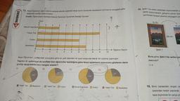DENEME 15
A
13. Asya Öğretmen öğrencilerine serbest etkinlik saatinde hangi oyunu oynamak istediklerini sormuş ve cevaplara göre
aşağıdaki grafiği oluşturmuştur.
Grafik: Öğrencilerin Serbest Etkinlik Dersinde Oynamak İstediği Oyunlar
9
7
Mendil Kapmaca
Yakan Top
Futbol
Basketbol
0
Oyun
A
1
2
.
3
4
5
Yakan Top Basketbol Yakan Top Futbol
6
C)
7
8
120°
Asya Öğretmen, yukarıdaki sonuçlara göre en çok istenilen iki oyun arasında tekrar bir oylama yapmıştır.
Yapılan iki oylamaya da sınıftaki tüm öğrenciler katıldığına göre ikinci oylamanın sonucunu gösteren daire
grafiği aşağıdakilerden hangisi olabilir?
A)
B)
9
Mendil Kapmaca Futbol
10
D)
Öğrenci Sayısı
Yakan Top Basketbol
1
15. Şekil 1'de verilen dikdörtgen biçimindek bir g
olarak doldurmaktadır. Çerçeve yamuk biçin
içerisindeki fotoğraf çıkartılıp çerçevenin çita
16 cm
Şekil 1
29 cm
10 cm
Buna göre, Şekil 2'de verilen çe
metredir?
A) 8
16. Birim karelerden oluşan as
üzerinden kesim yapılarak
kare biçiminde bir parça çık