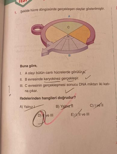 0
1. Şekilde hücre döngüsünde gerçekleşen olaylar gösterilmiştir.
obnixel pren
A
C
D) II ve III
M
B
Buna göre,
1. A olayı bütün canlı hücrelerde görülür.
II. B evresinde karyokinez gerçekleşir.
✓
III. C evresinin gerçekleşmesi sonucu DNA miktarı iki katı-