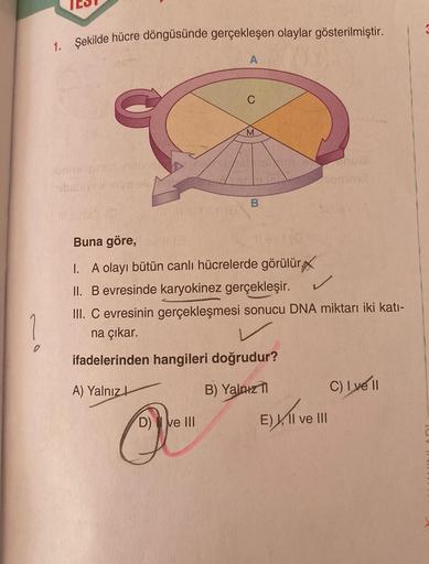 0
1. Şekilde hücre döngüsünde gerçekleşen olaylar gösterilmiştir.
obnixel pren
A
C
D) II ve III
M
B
Buna göre,
1. A olayı bütün canlı hücrelerde görülür.
II. B evresinde karyokinez gerçekleşir.
✓
III. C evresinin gerçekleşmesi sonucu DNA miktarı iki katı-
