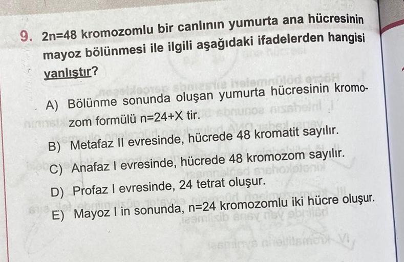 9. 2n=48 kromozomlu bir canlının yumurta ana hücresinin
mayoz bölünmesi ile ilgili aşağıdaki ifadelerden hangisi
yanlıştır?
porestie helemmülőd
A) Bölünme sonunda oluşan yumurta hücresinin kromo-
zom formülü n=24+X tir.
unoa miss
Janey.
Motofor low
B) Meta