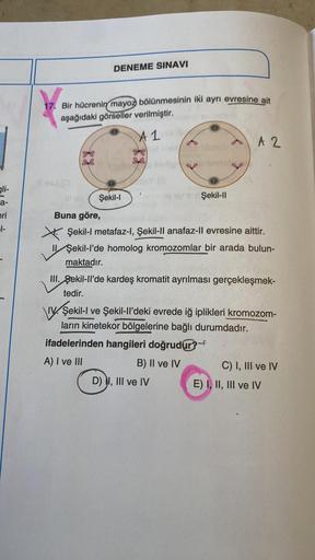 gli-
a-
eri
1-
DENEME SINAVI
17. Bir hücrenin mayoz bölünmesinin iki ayrı evresine ait
aşağıdaki görseller verilmiştir.
A 1
lap
Şekil-I
Şekil-II
D) I, III ve IV
A 2
Buna göre,
Şekil-I metafaz-l, Şekil-II anafaz-ll evresine aittir.
Il Şekil-l'de homolog kro