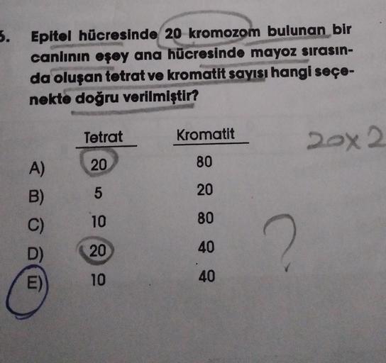 5.
Epitel hücresinde 20 kromozom bulunan bir
canlının eşey ana hücresinde mayoz sırasın-
da oluşan tetrat ve kromatit sayısı hangi seçe-
nekte doğru verilmiştir?
A)
B)
E)
Tetrat
20
5
10
20
10
Kromatit
80
20
80
40
40
?
20x 2