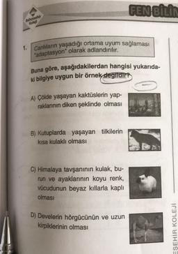 Bahçeşehir
Koleji
1. Canlıların yaşadığı ortama uyum sağlaması
"adaptasyon" olarak adlandırılır.
Buna göre, aşağıdakilerdan hangisi yukarıda-
ki bilgiye uygun bir örnek değildir?
A) Çölde yaşayan kaktüslerin yap-
raklarının diken şeklinde olması
B) Kutuplarda yaşayan tilkilerin
kısa kulaklı olması
FEN BİLİN
C) Himalaya tavşanının kulak, bu-
run ve ayaklarının koyu renk,
vücudunun beyaz kıllarla kaplı
olması
D) Develerin hörgücünün ve uzun
kirpiklerinin olması
EŞEHİR KOLEJİ