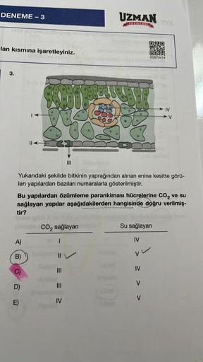 DENEME-3
lan kısmına işaretleyiniz.
3.
||
A)
B)
$300
D)
E)
CO₂ sağlayan
Yukarıdaki şekilde bitkinin yaprağından alınan enine kesitte görü-
len yapılardan bazıları numaralarla gösterilmiştir.
Enterok
UZMAN
YAYINLARI
Bu yapılardan özümleme parankiması hücrel