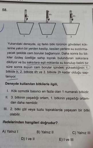 58.
1
A) Yalnız I
2
4h
D) I ve II
Yukarıdaki deneyde, üç farklı bitki türünün gövdeleri kök-
lerine yakın bir yerden kesilip, kesilen yerlere su sızdırma-
yacak şekilde cam borular bağlanıyor. Daha sonra bu bit-
kiler özdeş özelliğe sahip toprak bulunduran