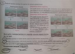 13. Aşağıda lepistes balıkları ile yapılan bir çalışma gösterilmiştir.
Başlangıçtaki düzenek
Ini çakıl, ortamda avcı yok
15 nesil sonra
Ince çakıl, ortamda avcı yok
Ave Il
1. Aşama
15 nesil sonra
Çalışmanın birinci aşaması;
Çok çeşitli avcıları barındıran farklı derelerden alınan lopistes baliklan in
çakıl taşlarının ve ince çakıl taşlarının bulunduğu iki ayrı havuza.eşit bir ge-
kilde dağıtılıyor. On beş nesil sonunda balıkların görünümleri inceleniyor.
Çalışmanın ikinci aşaması;
Çok çeşitli avcıları barındıran
farklı derelerden alınan lepistes
balıkları iri çakıl taşlarının ve
ince çakıl başlarının bulunduğu
iki ayrı havuza eşit bir şekilde
dağıtılıyor. İki ortama da avcı
canlilar ekleniyor ve onbeş ne-
sil sonunda balıkların görü-
nümleri inceleniyor.
Buna göre, Lepistes balıklarının yaşadığı ortamda değişim durum-
ları ile ilgili;
Başlangıçtaki düzenek
In çakıl, ortamda avca mevcut Ince çakul, ortamda avo mevcut
C) ILveri
15 nesil sonra
2. Aşama
1. Depistes balıklarının farklı benek yapısına sahip olması varyasyondur.
II. Avcıların bulunduğu ortamlarda lepistes balıkları, kamufle olacak şekilde doğal seçilime uğrarlar
III. Her durumda iri çakıl taşlarının bulunduğu ortamda iri benekli lepistesler daha avantajlıdır.
ifadelerinden hangileri doğrudur?
B) Ive Ill
15 nesil sonra
DIT. Hvet