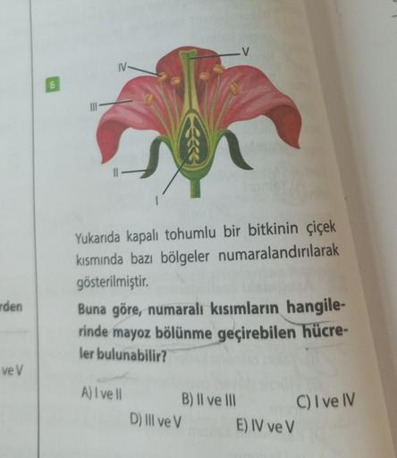 rden
ve V
IV-
Yukarıda kapalı tohumlu bir bitkinin çiçek
kısmında bazı bölgeler numaralandırılarak
gösterilmiştir.
Buna göre, numaralı kısımların hangile-
rinde mayoz bölünme geçirebilen hücre-
ler bulunabilir?
A) I ve Il
B) II ve III
D) III ve V
E) IV ve