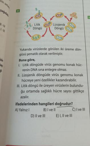 rin serben
şağıdaki
11-IV
1- |||
isle
pep
gi
B
$
Litik
Döngü
Lizojenik
Döngü
Yukarıda virüslerde görülen iki üreme dön-
güsü şematik olarak verilmiştir.
Buna göre,
I. Litik döngüde virüs genomu konak hüc-
renin DNA sina entegre olmaz.
II. Lizojenik döngüde