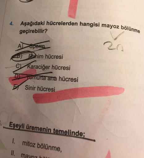 4. Aşağıdaki hücrelerden hangisi mayoz bölünme
geçirebilir?
A) Sperm
Pahim hücresi
C) Karaciğer hücresi
Yumurta ana hücresi
ESinir hücresi
Eşeyli üremenin temelinde;
1. mitoz bölünme,
II. mayo
ff. 1. s
20